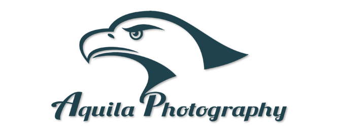 Aquila Photography